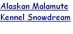 Alaskan Malamute
Kennel Snowdream
